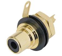 Rean - Embase Phono (Rca) - Contacts Dorés - Noir