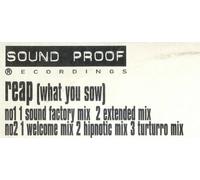 Reap (What You Sow, Bottom $ & Pablo Torres Remixes) [Import]