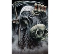 Reaper - 61x91,5 cm - AFFICHE / POSTER G