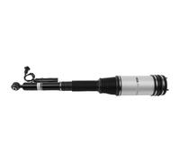 Rear Suspension Strut 2203202338 For Mercedes S Class W220 98-05 Airmatic