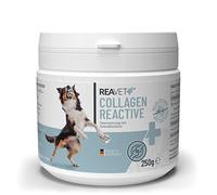 ReaVET Poudre réactive au collagène pour Chiens 250 g - Gélatine de collagène de qualité supérieure pour Chiens