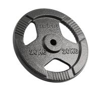 Rebel Charge Fonte 20kg Trou 31mm Plaque avec Poignées RBA-2137