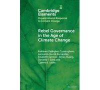 Rebel Governance In The Age Of Climate Change
