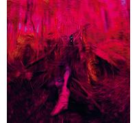 Rebel Wizard - Magickal Mystical Indifference [Import]