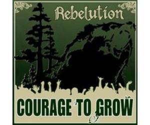 Rebelution - Courage To Grow