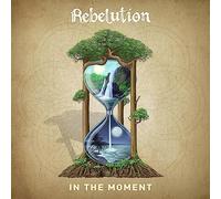 Rebelution In the Moment (Vinyl) 12" Album