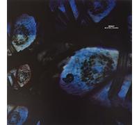 Reboot - Beautiful Parasite (Robert Dietz Remix) [Import]
