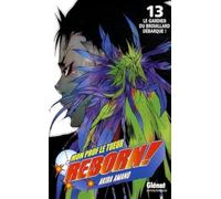 Reborn - Tome 13: Le gardien du brouillard débarque !