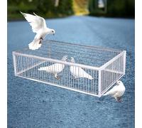 REBOTZ Cage à piège à Oiseaux,Cage Piège à Oiseaux, Porte de Pigeon,40/60/70/90/100 cm Porte de poulailler pour Pigeons de Course colombes, perroquets, fenêtre (100X60X26CM)