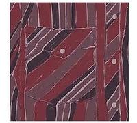 Jake Xerxes Fussell & James Elkington – Rebuilding