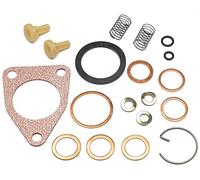 Recambo Kit de réparation pour pompe à carburant Bosch FP-K 22 P26 - Numéro de référence 2447010004 - Réduire les fuites - Joints résistants au carburant - Ajustement précis selon la référence