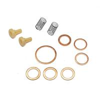 Recambo Kit de réparation pour pompe à carburant Bosch FP-K 22 P26 - Numéro de référence 2447010004 - Réduire les fuites - Joints résistants au carburant - Ajustement précis selon la référence