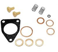 Recambo Kit de réparation pour pompe à carburant Bosch FP-K 22 P26 - Numéro de référence 2447010004 - Réduire les fuites - Joints résistants au carburant - Ajustement précis selon la référence