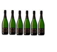 Recaredo terrers brut nature gran reserva