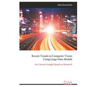 Recent Trends in Computer Vision Using Large Data Models: An Literary Insight Based on Research