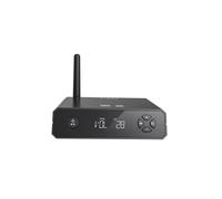 Lecteur réseau HiFi FIIO BR13