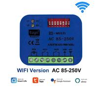 Récepteur De Télécommande Universel Pour Porte De Garage,Smart Life Alexa,Tuya Wifi Switch,Dc Ac,Rx Multi,433mhz,868mhz,9-30v,85-250v,2ch - Type Wifi Rf Ac 85-250v