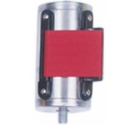 Rechange de Sangle pour Poteau 2 m Pujadas G