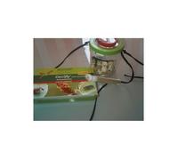 Recharge 50 larves Adalia - Kit d'élevage de coccinelles - Nourriture incluse