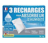 Recharge absorbeur 1Kg - lot de 3