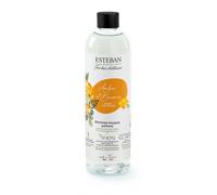Recharge Ambre Et Baumes Pour Bouquet 250ML Esteban
