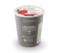 Recharge bougie grenade et citron vert