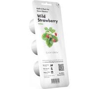 Click & Grow recharges pour jardinière Smart Herb Garden Fraise des bois Pack de 3