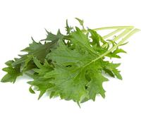 Recharge Click and Grow Mizuna, pack de 3