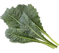 Recharge Click and Grow Smart Chou vert italien 3 pcs