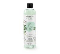 Recharge Fleur D'Aloe Pour Bouquet 250ML Esteban Paris