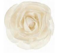 Clementoni Recharge Fleur de goatier Roséa – Petit modèle