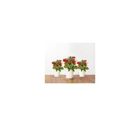 Recharge jardin d'intérieur Click And Grow Mini tomates lot de 3
