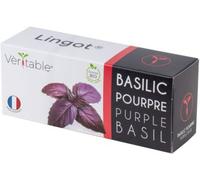 Recharge jardin d'intérieur VERITABLE Basilic Pourpre BIO