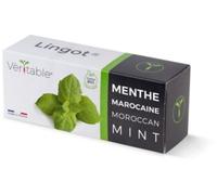 Recharge jardin d'intérieur VERITABLE menthe marocaine bio