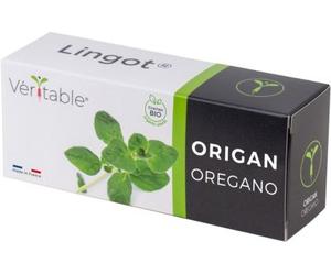 Recharge jardin d'intérieur VERITABLE Origan BIO