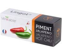 Lingot® Piment Jalapeño - Compatible Potager d'Intérieur Véritable® et Exky® - Recharge prête à l'emploi - Substrat avec Graines Intégrées…