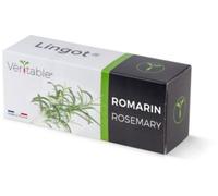 Recharge jardin d'intérieur VERITABLE romarin