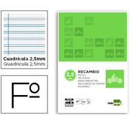 Recharge Liderpapel A4 100 feuilles 75 g/m² quadrillées 2,5 mm, avec marge 4 trous