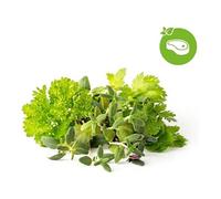 Click & Grow Recharge Mix Herbes pour Viandes - 9 Capsules (3x3) pour Jardin Intelligent G