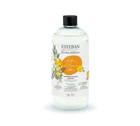 Estéban – Recharge de parfum pour bouquet – Ambre et Baumes – 500 ml