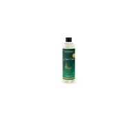 Recharge pour bouquet parfumé Sapin exquis 2024 250ml - Esteban