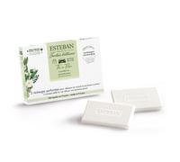 Recharge pour diffuseur de voiture Thé en Fleur - Esteban