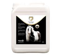 Recharge pour Spray Hi Gloss chevaux 2,5 l