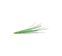 Recharge triple de Ciboulette pour Smart Garden - Click and Grow
