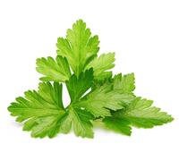 Recharge triple de Coriandre pour Smart Garden - Click and Grow