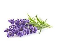 Recharge triple de lavande pour smart garden - click and grow G