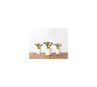 Recharge triple de Piments pour Smart Garden - Click and Grow