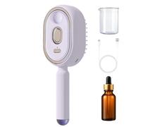 Rechargeable Steam Comb, Hair Detangling Brush, Straightener Tool with Reliable Texture, Compact Utility with Oil Cup, 140g Beauty Accessory, Effective Solution for Home Travel Everyday Smoothing