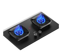 Réchaud À Gaz Double Brûleur, Allumage Automatique, Réchaud De Camping Double Brûleur NG/GPL 5,2 KW, Réchaud Portable En Verre Trempé, Adapté Aux Camping-cars, Appartements(NG)
