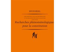 Recherches phénoménologiques pour la constitution
